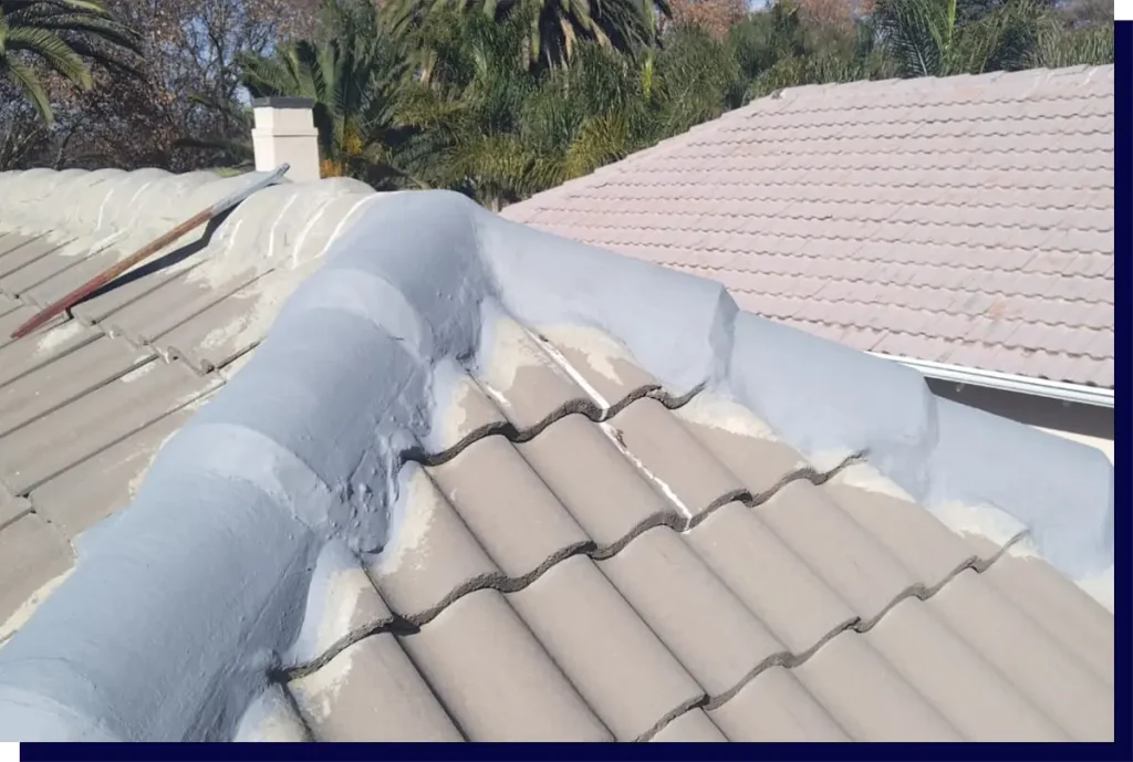 Roof Maintenance Services