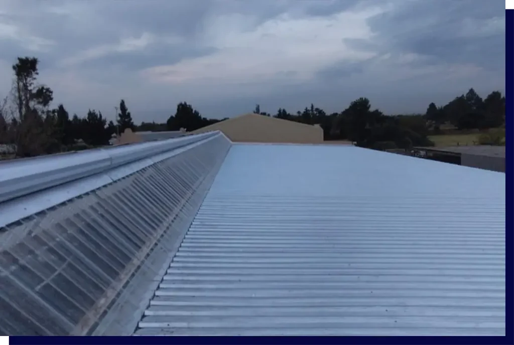 Roof Painting Services