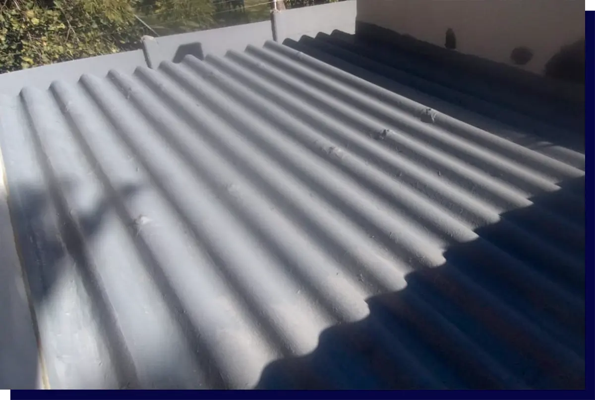 Roof Painting Services