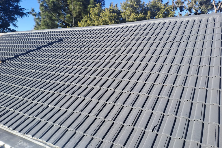 Roof Painting in South Africa: More Than Just a Colour Change